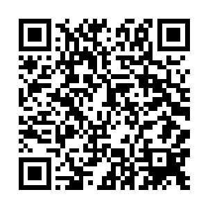 毕竟谁也不愿意总是过着常年徘徊在生死边缘的生活二维码生成