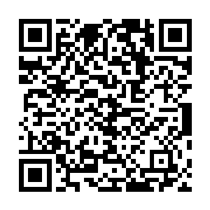 毕竟跟着苏凡之间的恩恩怨怨也是只有鬼王心中最为清楚二维码生成