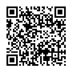 毕竟近乎大半化仙者区域的超级家族都参与了进来二维码生成