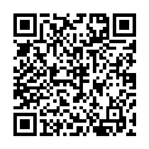 毕竟这一次在这里龙傲天可是得到了无数的高级和顶级药材二维码生成