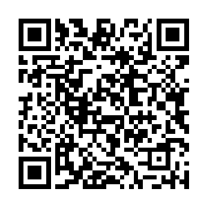 毕竟这个家伙可是自己识海异变之后的第一个访客啊二维码生成