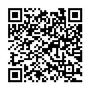 毕竟这个武道世界能让洛神宫忌惮的势力还真不多二维码生成