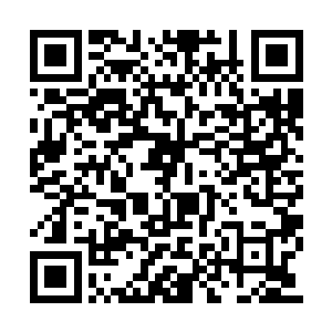 毕竟这些事情是她无法插手也没那个能力插手的二维码生成