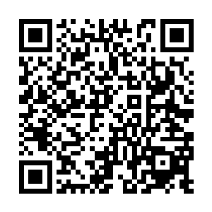 毕竟这些厂商的技术员对自己公司的手机分外熟悉二维码生成