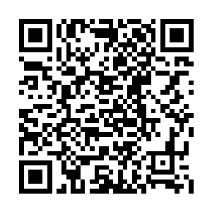 毕竟这些家伙除了拥有几乎不死不灭的身体之外二维码生成