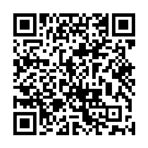 毕竟这些面庞实际上都是由那些惨死者的灵魂和怨念所化二维码生成