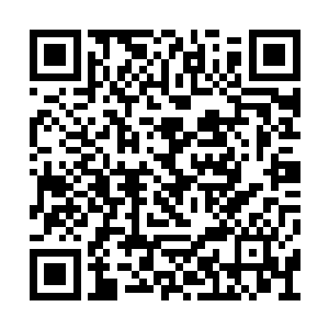 毕竟这北辰星和紫千幻再怎么妖孽也是一个男人二维码生成