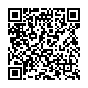 毕竟这古武世家的事情好不容易可以接触一点了二维码生成