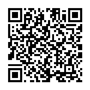 毕竟这可是他实力提升以来第一次全力的使用万剑归宗二维码生成