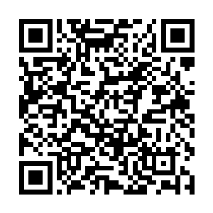 毕竟这四个暗杀组织都分别隶属十二大家族中的一家二维码生成