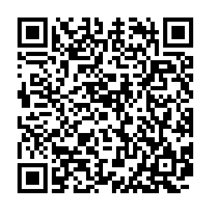 毕竟这天道境级别的碧蓝海神一旦趁着现在短暂巩固修为的时期逃走二维码生成