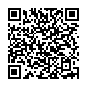 毕竟这张桌子的质地可是如今极为难得的金丝楠木制成二维码生成