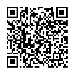 毕竟这意味至少要造成其每天自动吸收200点伤害后二维码生成