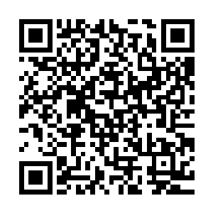 毕竟这是为了训练荣光进行的特训丨总是要和普通训练不一样的二维码生成