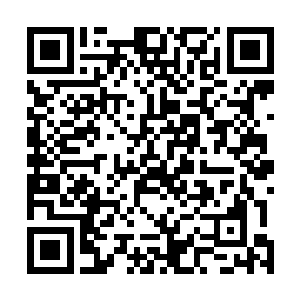 毕竟这是人类玩家和第三纪崛起的神明第一次大型的合作二维码生成