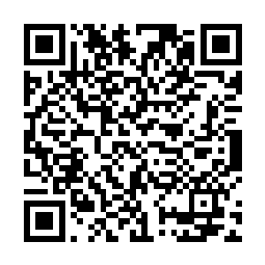 毕竟这是国家游泳队自从成立以来史无前例的一件事情二维码生成