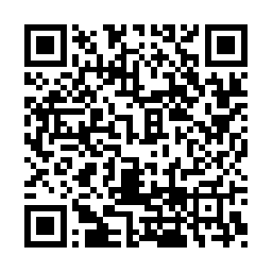 毕竟这样代表着张秀兰在部队这边呆不了几天了二维码生成