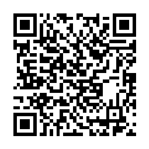 毕竟这样的一个小拍行如果能有一个大公司的合作二维码生成