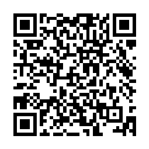 毕竟这样的前辈高人亲自跑过来见他这样的小人物二维码生成
