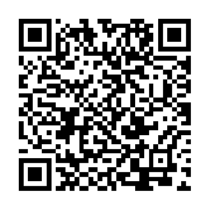 毕竟这次针对南都第一大黑帮以及它背后势力的行动二维码生成