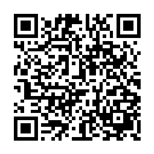毕竟这种事情向来都是一个愿打一个愿挨的事情二维码生成