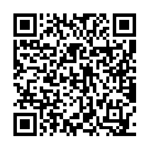 毕竟这种关系到天狼帮生死存亡的事情杜紫藤也是不敢大意二维码生成