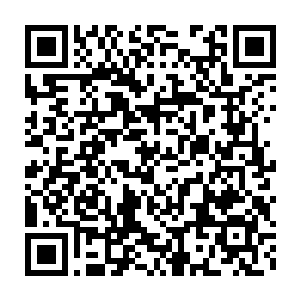 毕竟这种盲e和qe打断位移的操作虽然很具欣赏力但操作难度实则并不大二维码生成