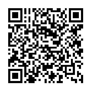 毕竟这群打劫的海盗来看上去明显就不是什么良善之辈二维码生成