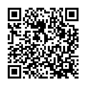 毕竟这里有不少珍禽异兽都是来自那片远古洞府法宝碎片二维码生成