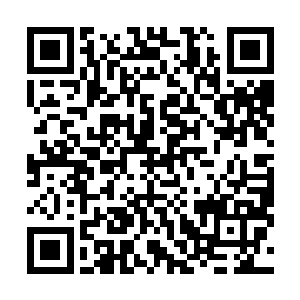 毕竟这里跟港城那边的生活和习惯都有那么一些不太一样二维码生成
