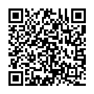 毕竟这里面任何东西都是天地元气和精神力所凝聚出来的二维码生成