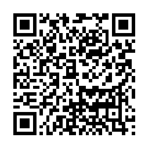 毕竟这金箍棒可是由太上老君亲手制造出来的强大法宝二维码生成