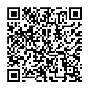 毕竟那些能被实力强大的仙人看上收入囊中的悟道仙山都是有价值的二维码生成