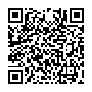 毕竟那可是以袖子就能轻松化解紫雷浆的超品实力二维码生成