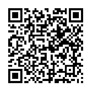 毕竟那场混战bo及范围之广可是十分的难以想象的二维码生成