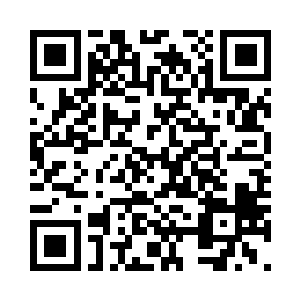 毕竟那场皮野绫的锤石确实发挥很亮二维码生成