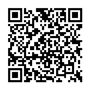 毕竟部落用的最多的就是止血和治疗发热的草药二维码生成