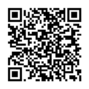 毕竟金在珉在综艺上面没有办法给予太多的帮助二维码生成