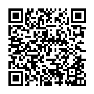 毕竟长阳名义上的身份还是圣子殿下的护道者呢二维码生成