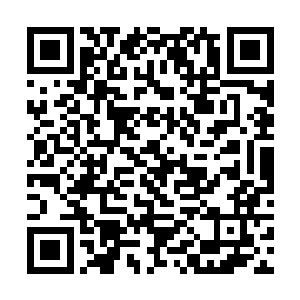毕竟马长老这些年来得到的增强生机灵草都只是下等二维码生成