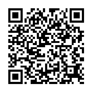 毕竟驮着一个人的速度和驮着两个人的速度是不一样的二维码生成