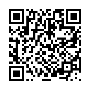 毕竟黑客工作室那边一直没有正式的通知二维码生成