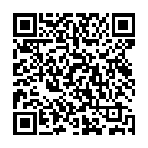 毕竟龙傲天在魔兽森林的内围就可以发现一些高级和极品的二维码生成