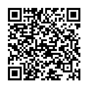 毕竟龙傲天混沌鼎可是有着当年丹霞神帝无数年的收藏二维码生成