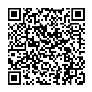 毛一山正在山麓间一片有着矮灌木的不起眼的荒地间与身后的同伴训着话二维码生成