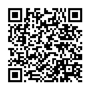 毛小鹏主政下的组织部还有一个特点就是随意性极大二维码生成