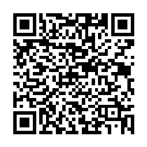 毛里克斯拉尼的军事实力一下就上了一个台阶了啊二维码生成