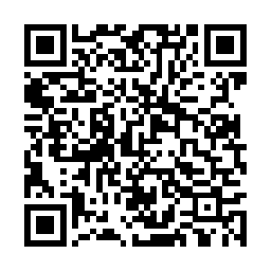 毛里克斯拉尼自由国的富裕让我们感到无比的羡慕二维码生成