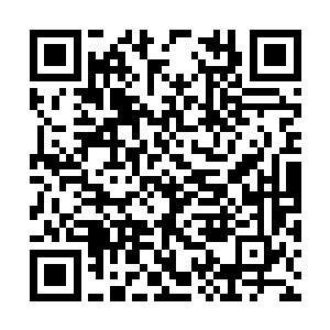 毫不犹豫地开启了魔形术士副作用最大的一个模式二维码生成