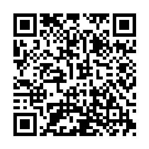 毫不犹豫毫不客气地一巴掌糊在了她的脸上――二维码生成